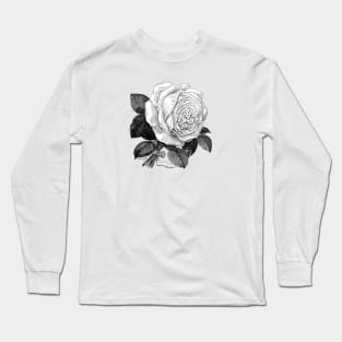 White Rose Vintage Botanical Illustration Long Sleeve T-Shirt